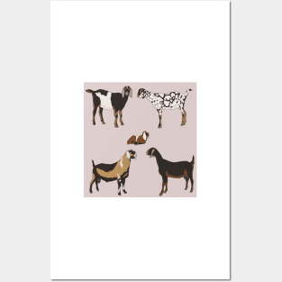 Nubian Goats Pattern Grey Posters and Art